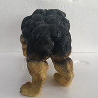 Xtreme Muscle Rottweiler Dog Figurine Bodybuilding Weightlifting Collectible Statue Sculpture 7L X 5T X 4W