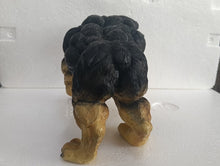 Load image into Gallery viewer, Xtreme Muscle Rottweiler Dog Figurine Bodybuilding Weightlifting Collectible Statue Sculpture 7L X 5T X 4W
