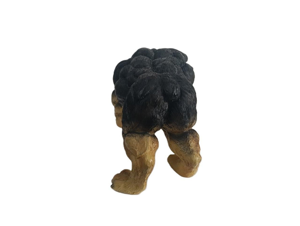 Xtreme Muscle Rottweiler Dog Figurine Bodybuilding Weightlifting Collectible Statue Sculpture 7L X 5T X 4W - R4 Products