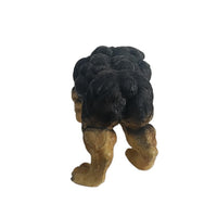 Xtreme Muscle Rottweiler Dog Figurine Bodybuilding Weightlifting Collectible Statue Sculpture 7L X 5T X 4W