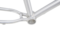 
              R4 Retro 6061 Aluminum 29" Pro BMX Frame & Chrome Fork, Raw W/ Clear Coat Decals Included
            