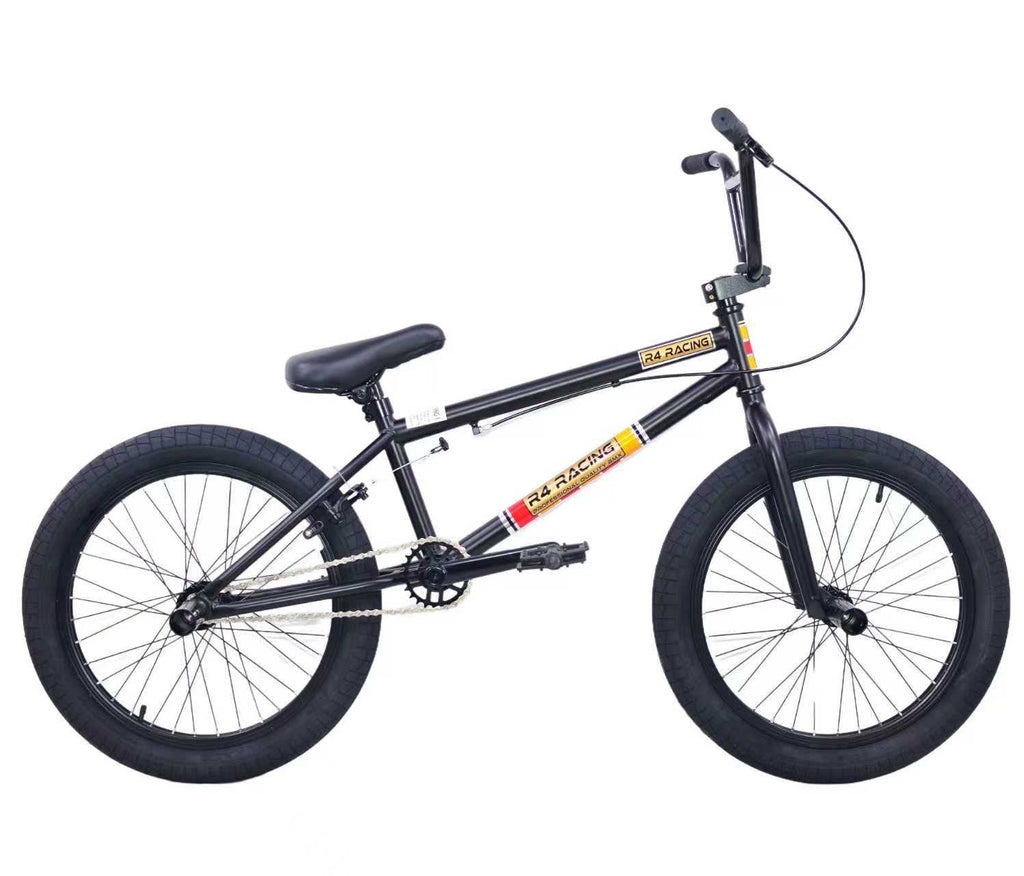 2026 R4 20 Inch BMX Bicycle Stunt Freestyle Sealed Hubs with pegs choose your color - R4 Products