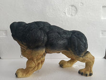 Load image into Gallery viewer, Xtreme Muscle Rottweiler Dog Figurine Bodybuilding Weightlifting Collectible Statue Sculpture 7L X 5T X 4W
