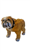 Load image into Gallery viewer, Xtreme Muscle Bulldog Figurine Bodybuilding Weightlifting Collectible Statue Sculpture 7L X 5T X 4W
