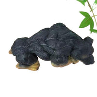 Xtreme Muscle Rottweiler Dog Figurine Bodybuilding Weightlifting Collectible Statue Sculpture 7L X 5T X 4W