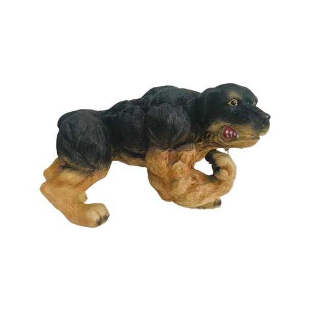 Xtreme Muscle Rottweiler Dog Figurine Bodybuilding Weightlifting Collectible Statue Sculpture 7L X 5T X 4W - R4 Products