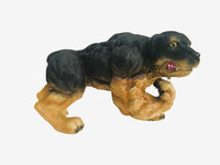 
              Xtreme Muscle Rottweiler Dog Figurine Bodybuilding Weightlifting Collectible Statue Sculpture 7L X 5T X 4W
            