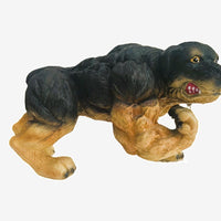 Xtreme Muscle Rottweiler Dog Figurine Bodybuilding Weightlifting Collectible Statue Sculpture 7L X 5T X 4W