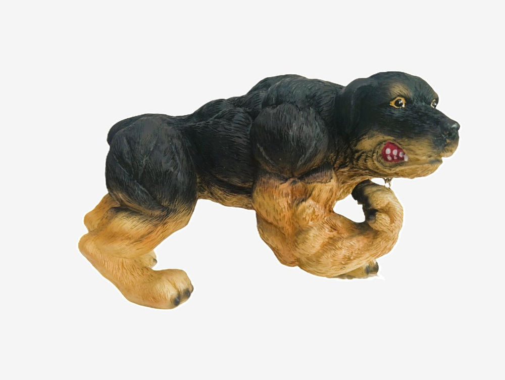 Xtreme Muscle Rottweiler Dog Figurine Bodybuilding Weightlifting Collectible Statue Sculpture 7L X 5T X 4W